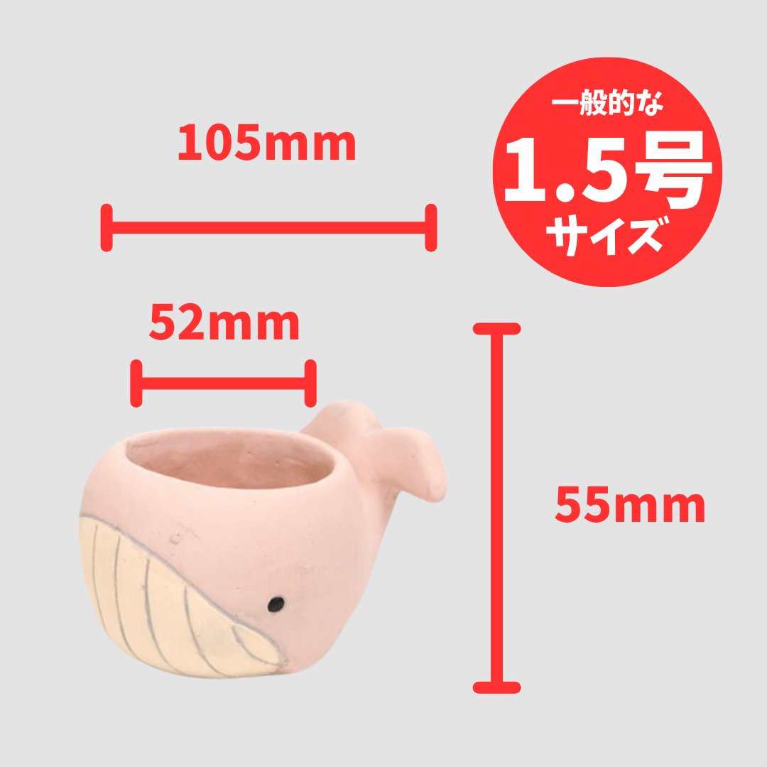 クジラポット S ピンクの画像