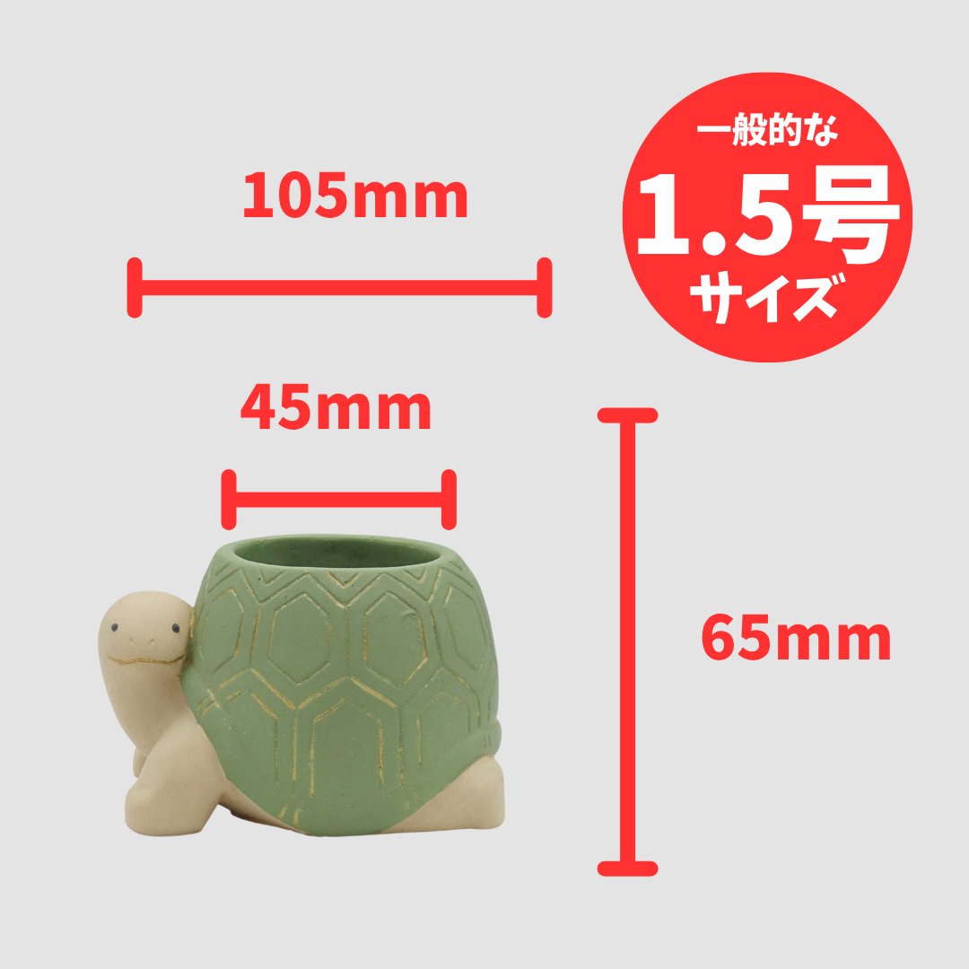 ヌーベランポット S グリーンの画像