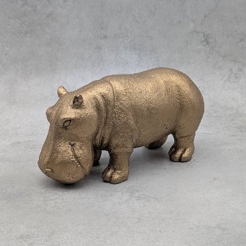 ゴールデンヒッポ Mの画像
