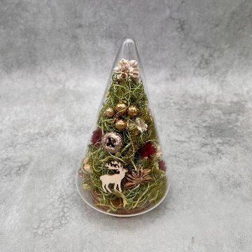 森のクリスマスガラスドームの画像
