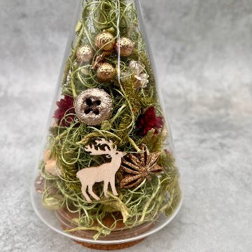 森のクリスマスガラスドームの画像
