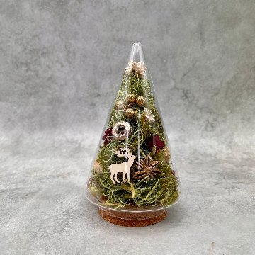 森のクリスマスガラスドームの画像
