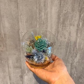 ドライフラワーガラスドーム　ブルー系の画像