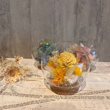 ドライフラワーガラスドーム　イエロー系の画像