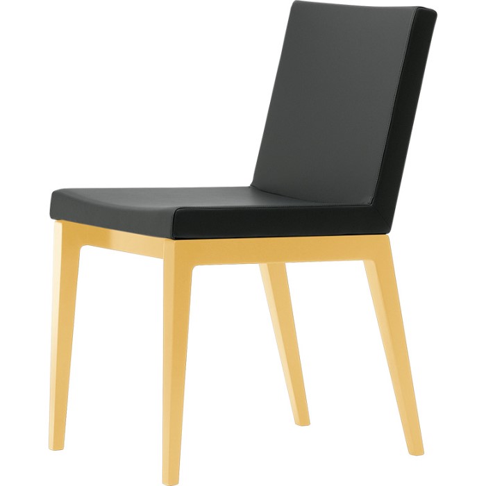 セディ M【SEDI】の画像