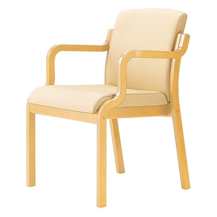 パサール L ローバック【PASAR】の画像