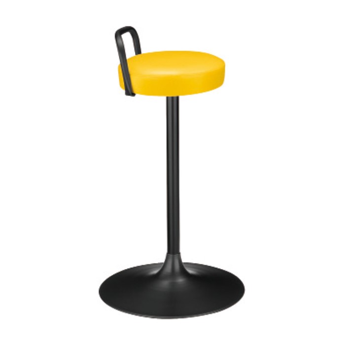 サリー+スチール脚（回転式）の画像