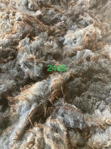 原毛2409の画像