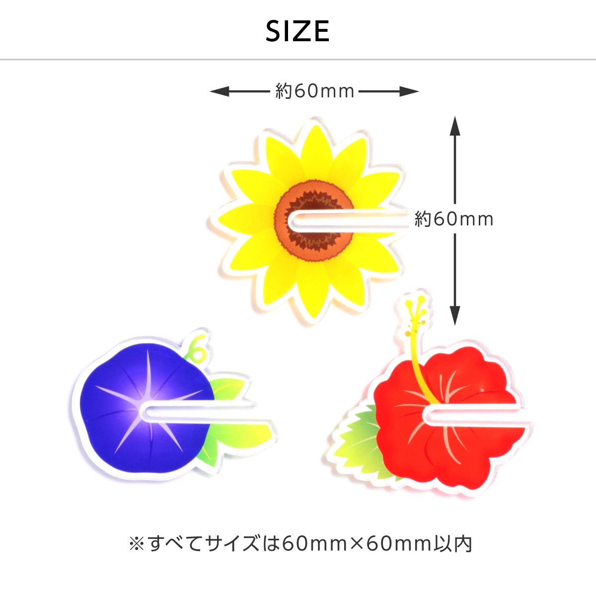【カタチいろいろ3個セット】フラワーアクリル台座　ひまわり/あさがお/ハイビスカスの画像