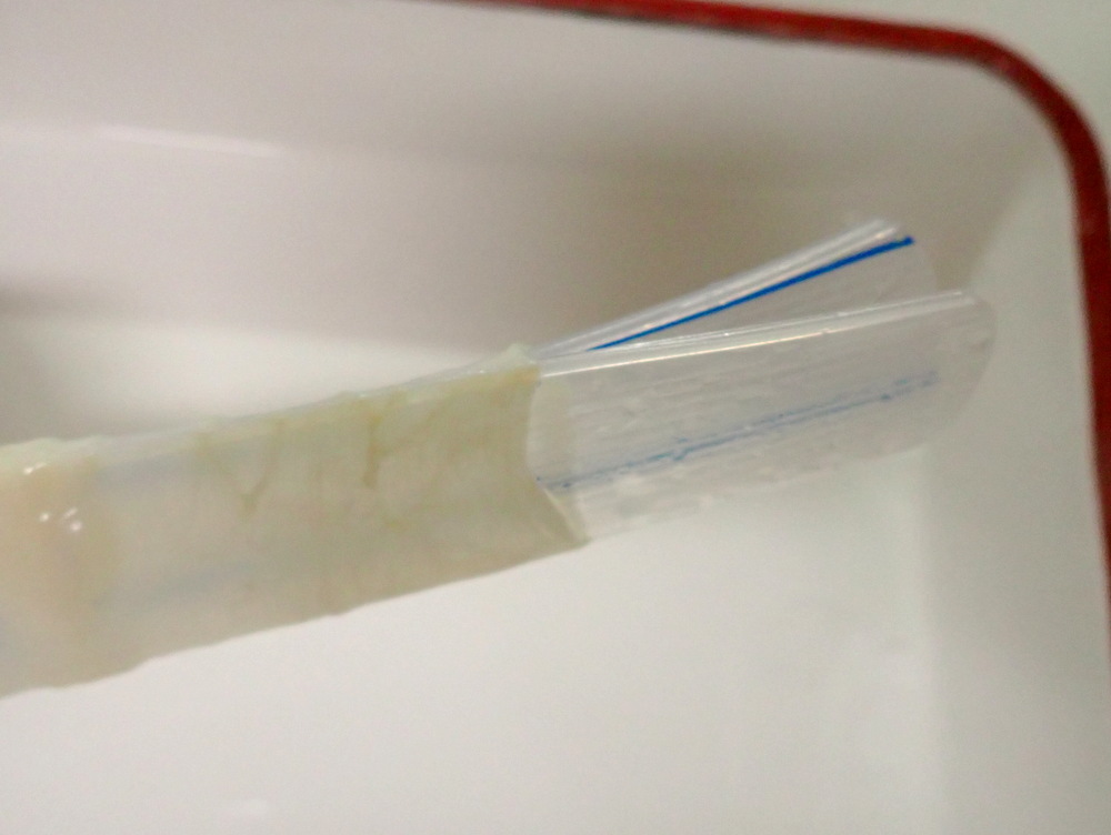 【単品豚腸】1本 直径32-34mm プラスチックガイドタイプ 長さ3m以上11m未満の画像