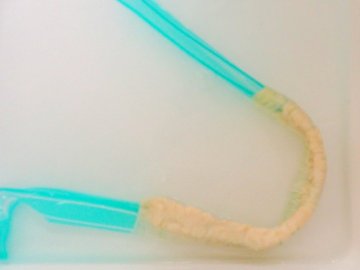 【単品豚腸】1本 直径30-32mm プラスチックガイドタイプ 長さ3m以上11m未満の画像
