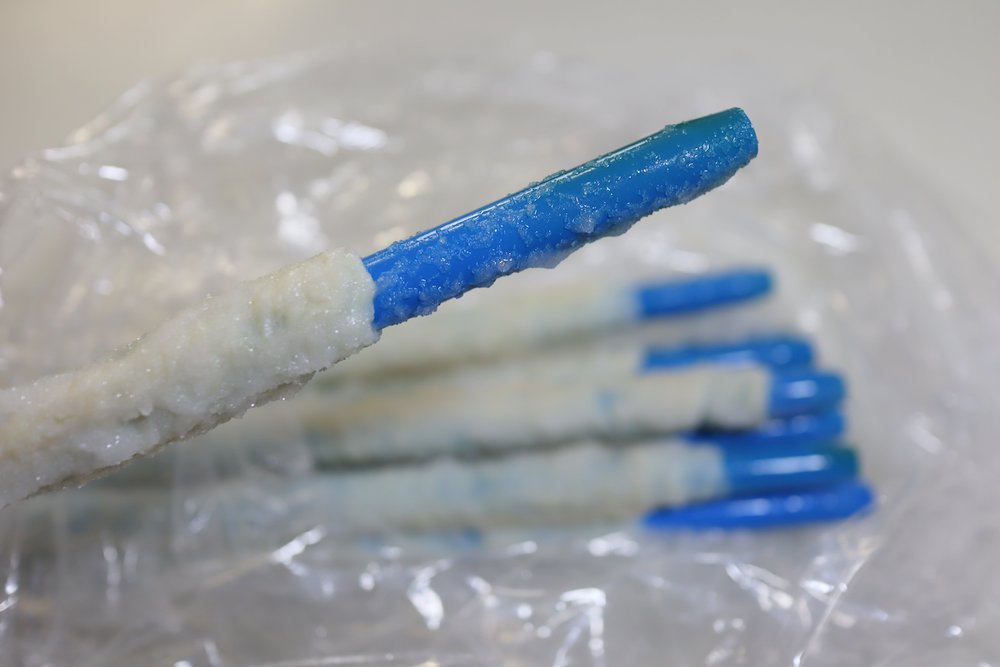 [業務用]【パイプ付き】天然羊腸（直径20〜22mm）１ハンク（約91m）の画像