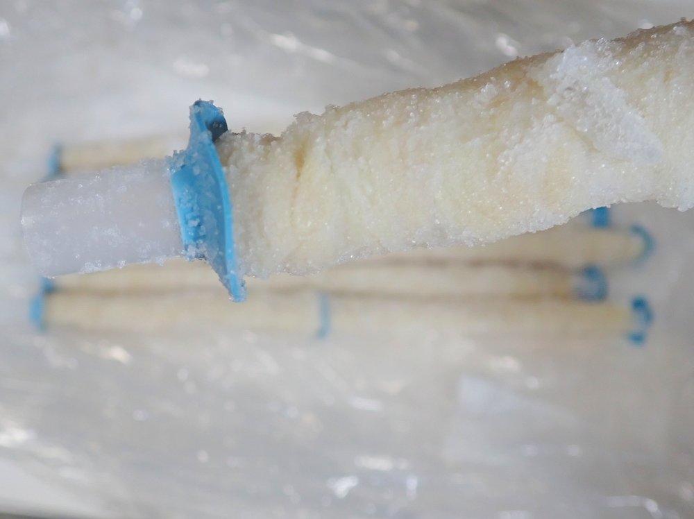 [業務用]豚腸【パイプ付き】（直径36〜38mm）１ハンク（約91m）の画像