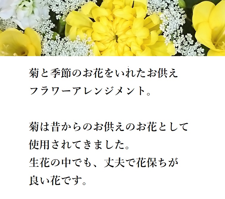 お供え菊のアレンジメント画像