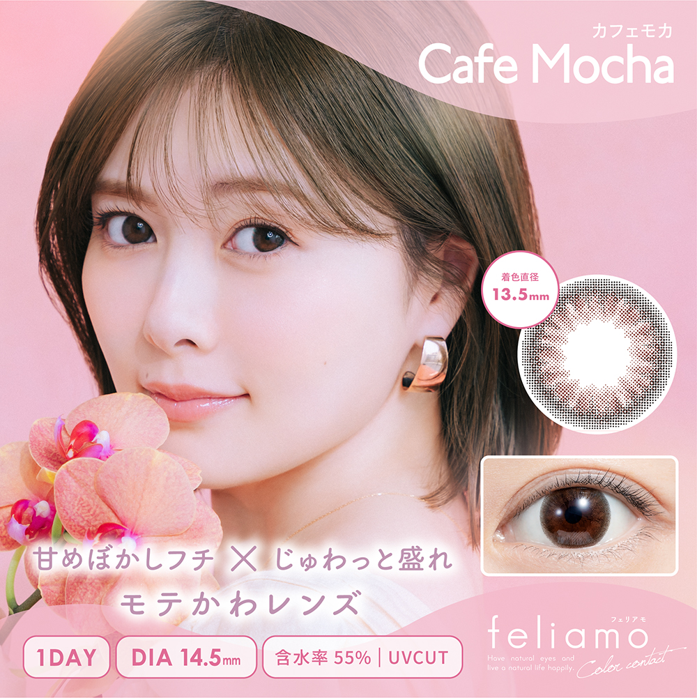 【2+1】フェリアモ ワンデーの画像