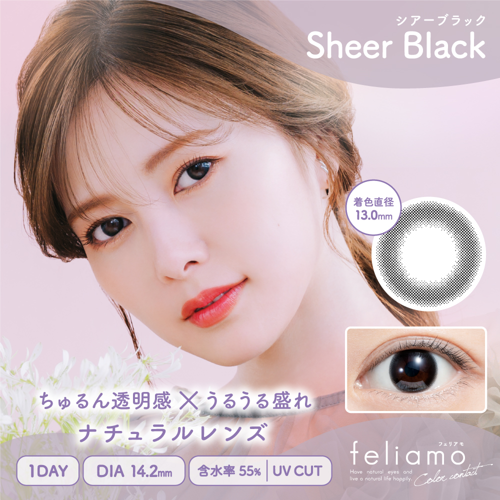 【2+1】フェリアモ ワンデーの画像