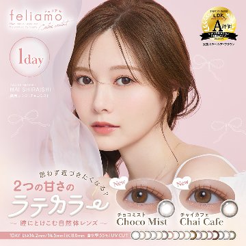 【2+1】フェリアモ ワンデーの画像