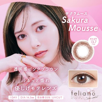 【2+1】フェリアモ ワンデーの画像