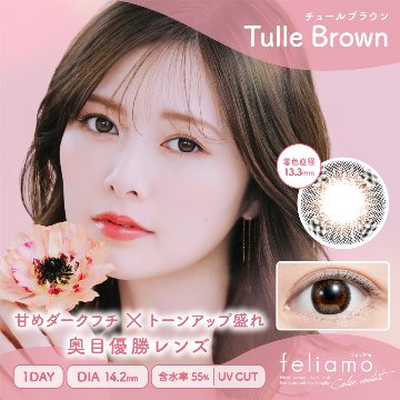 【2+1】フェリアモ ワンデーの画像