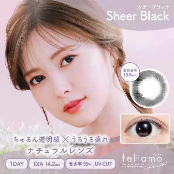 【2+1】フェリアモ ワンデーの画像