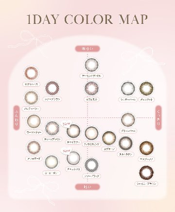 【2+1】フェリアモ ワンデーの画像