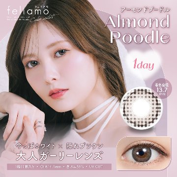 【2+1】フェリアモ ワンデーの画像