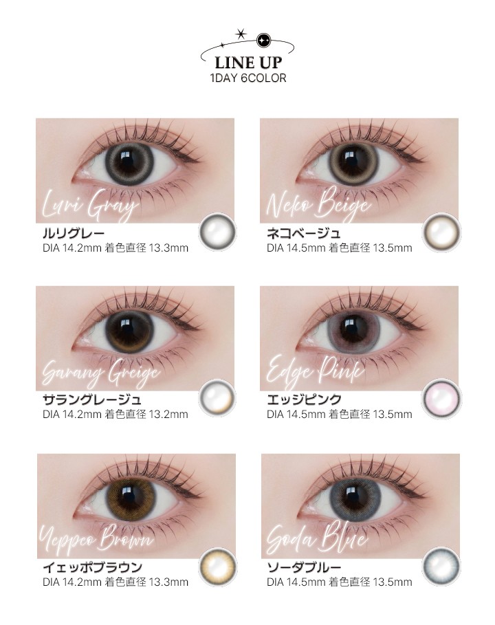  Angelique 1day(アンジェリーク ワンデー)の画像