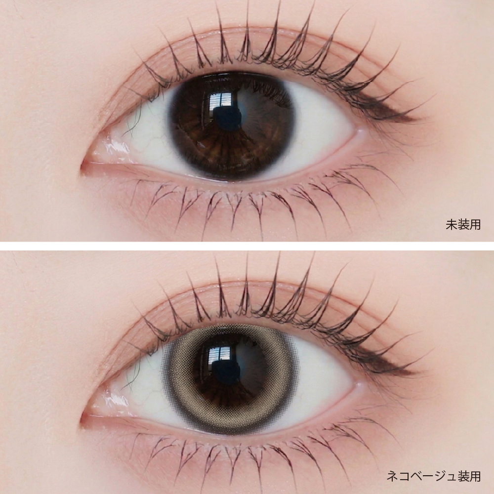  Angelique 1day(アンジェリーク ワンデー)の画像