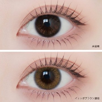  Angelique 1day(アンジェリーク ワンデー)の画像