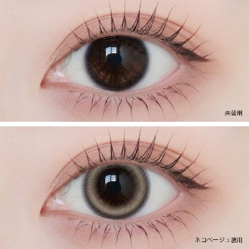 Angelique monthly(アンジェリーク マンスリー)の画像