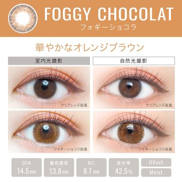 エバーカラーワンデールクアージュ【1箱10枚入】全11カラーの画像
