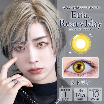 エティア レオーヴワンデー【1箱10枚入】全21カラーの画像