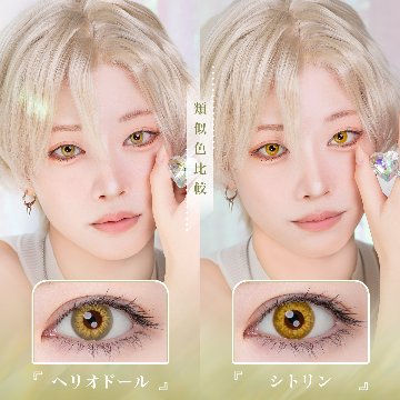 エティア レオーヴワンデー【1箱10枚入】全21カラーの画像