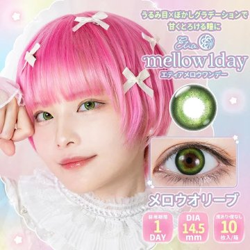 エティア メロウワンデー【1箱10枚入】の画像