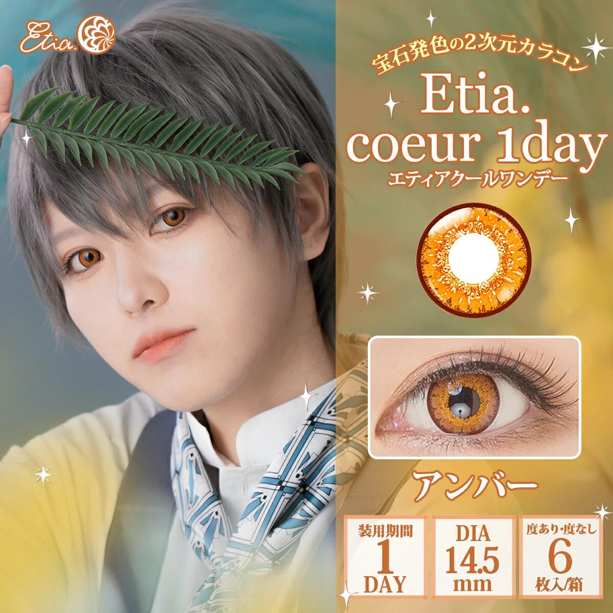 エティア クールワンデー【1箱6枚入】の画像