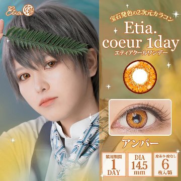 エティア クールワンデー【1箱6枚入】の画像