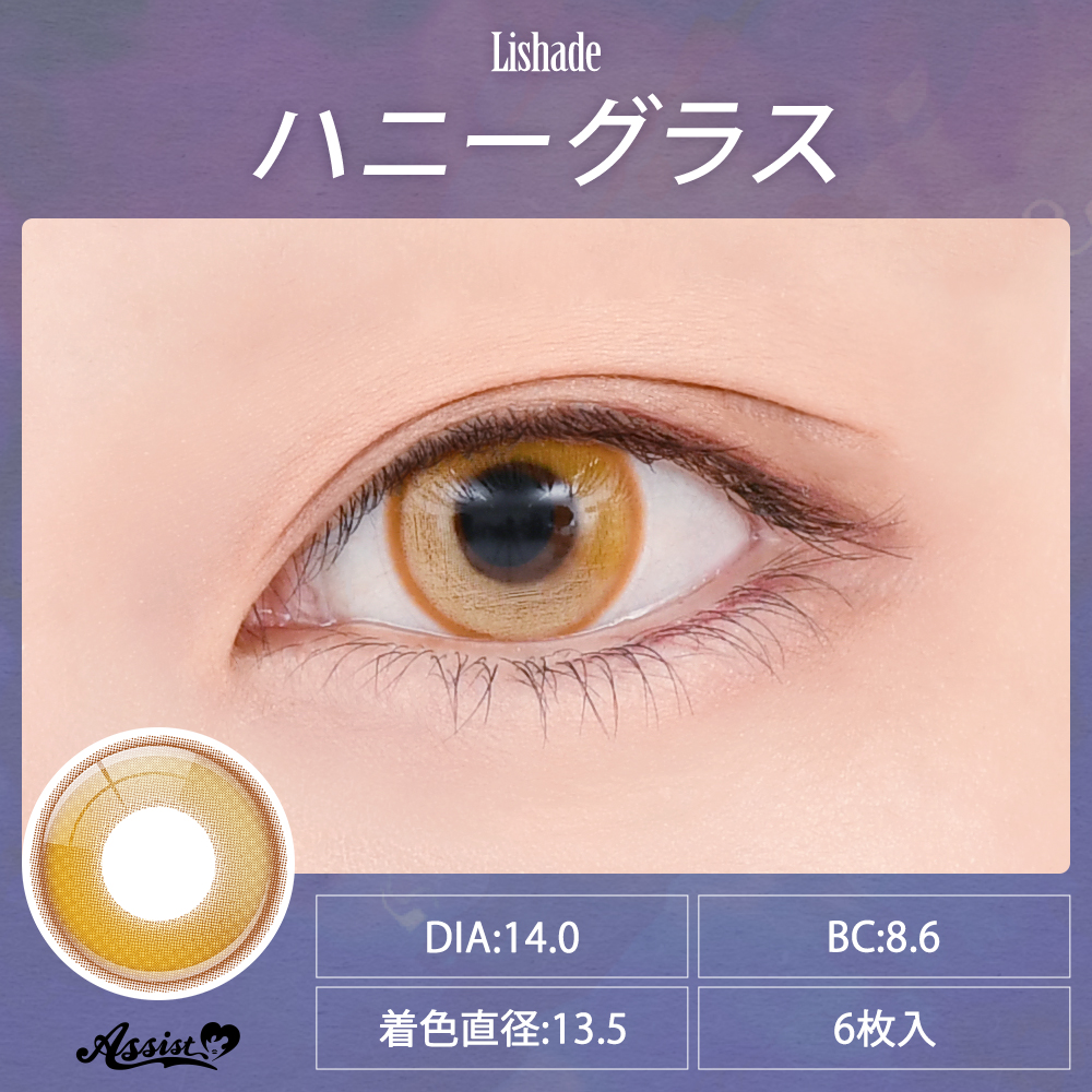 アシストシュシュ リシェイド ワンデー【1箱6枚入】全12カラーの画像