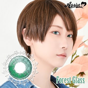 アシストシュシュ リシェイド ワンデー【1箱6枚入】全12カラーの画像