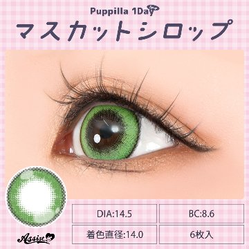 アシストシュシュ パピーラワンデーシロップ【1箱6枚入】全31カラーの画像