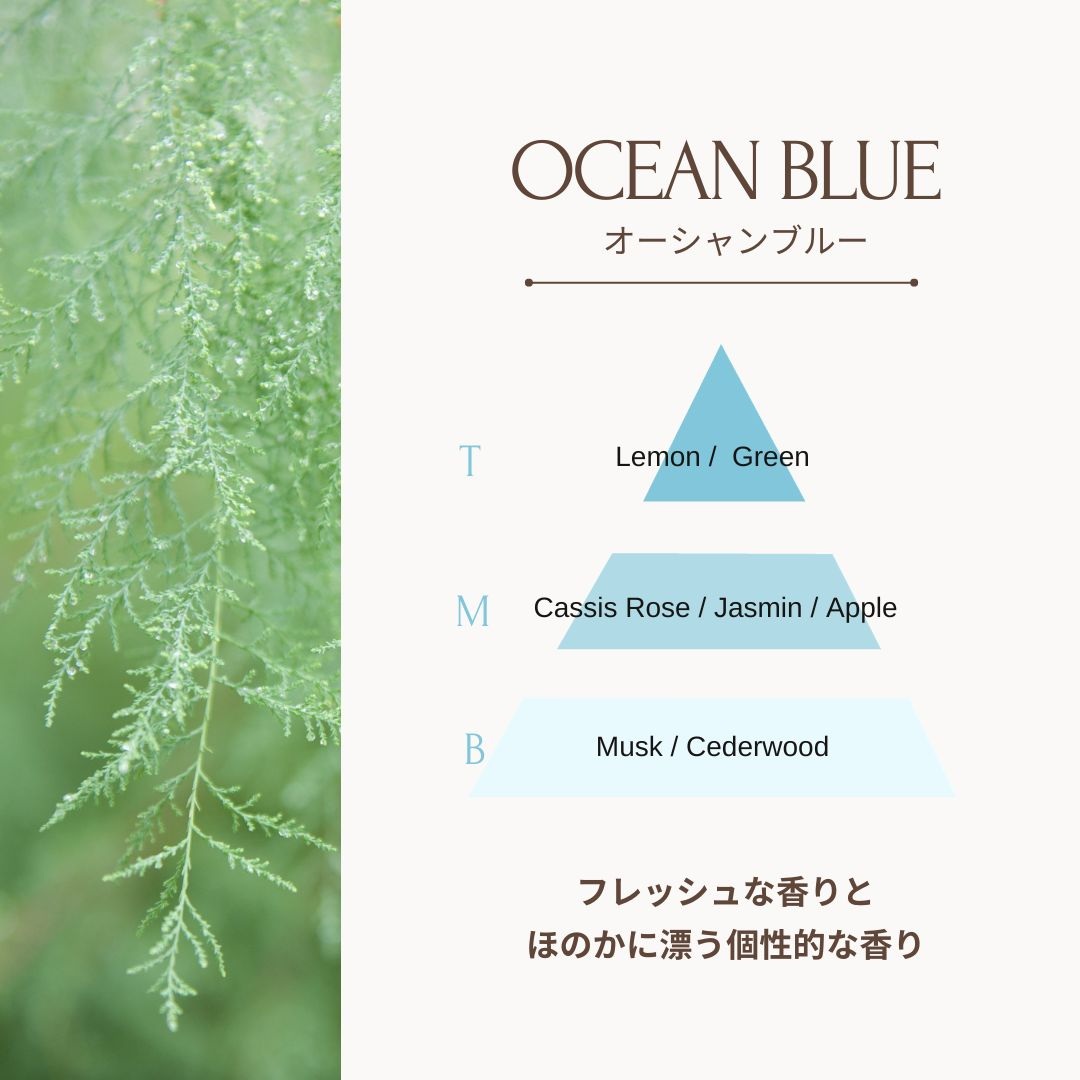 RAIP ライプ アルガンヘアオイル 100ml【2個セット】ヘアケア 全4種 アウトバストリートメント ヘアオイル スタイリングの画像