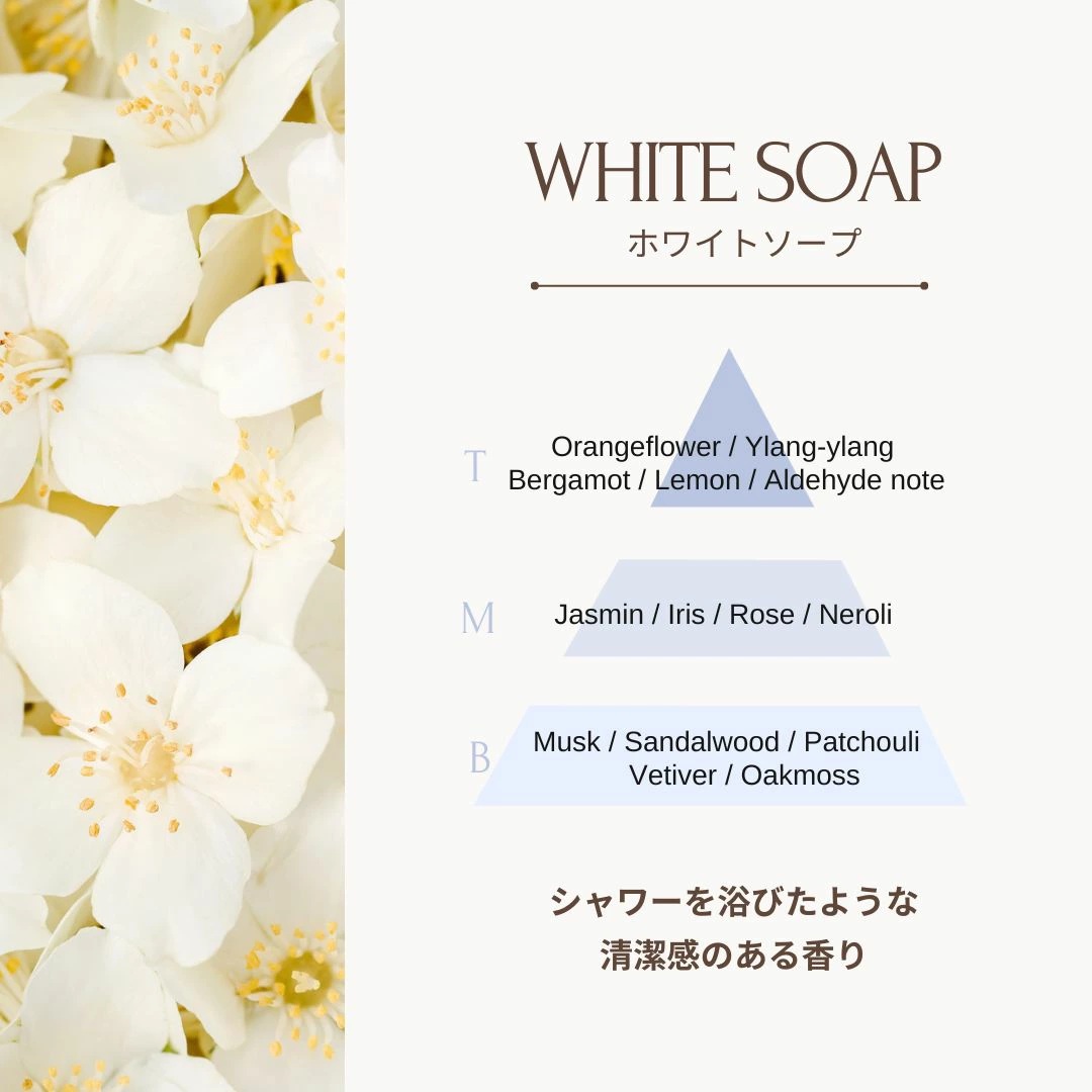 RAIP ライプ アルガンヘアオイル 100ml【2個セット】ヘアケア 全4種 アウトバストリートメント ヘアオイル スタイリングの画像