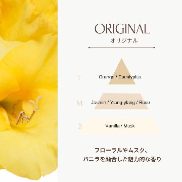 RAIP ライプ アルガンヘアオイル 100ml【2個セット】ヘアケア 全4種 アウトバストリートメント ヘアオイル スタイリングの画像