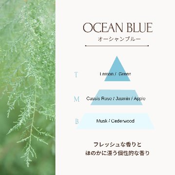 RAIP ライプ アルガンヘアオイル 100ml【2個セット】ヘアケア 全4種 アウトバストリートメント ヘアオイル スタイリングの画像