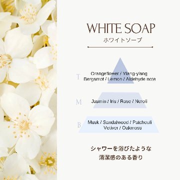 RAIP ライプ アルガンヘアオイル 100ml【2個セット】ヘアケア 全4種 アウトバストリートメント ヘアオイル スタイリングの画像