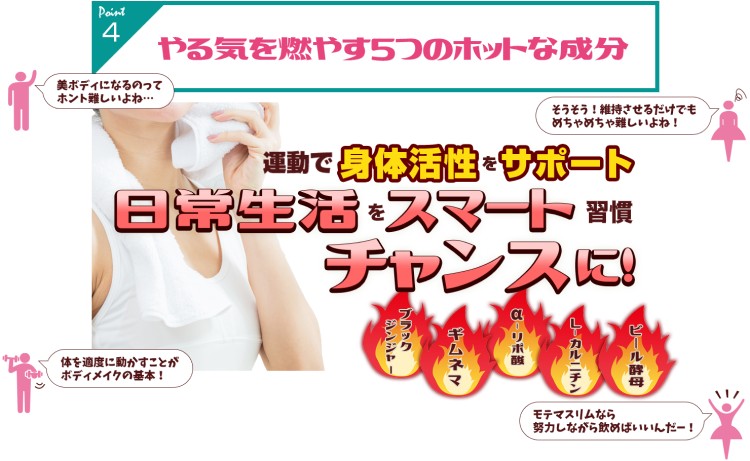 選べる1点～3点 活きた酵素 モテマスリム 120粒（約30日分） 便秘解消 サプリ 使用素材140種類 食物繊維 乳酸菌 酵素 青汁 ダイエットサポート 人気 美ボディ習慣 お徳用の画像