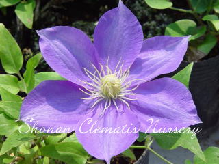 ケン・ドンソンの画像