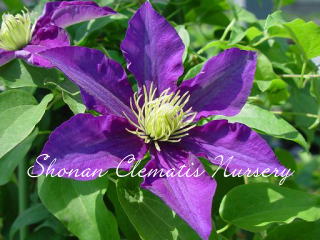 ピオトル・スカルガの画像