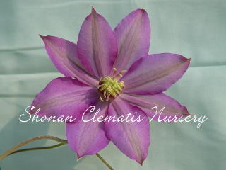 リチャード・ペンネルの画像