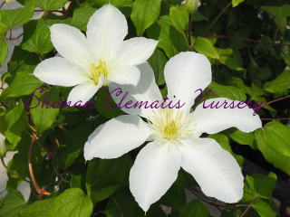 ジョン・ハクスタブルの画像