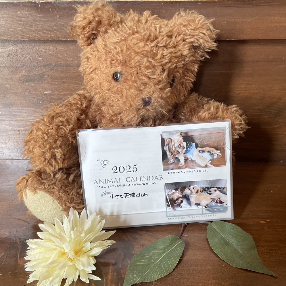 2025年ちび天保護動物たちの卓上カレンダーの画像